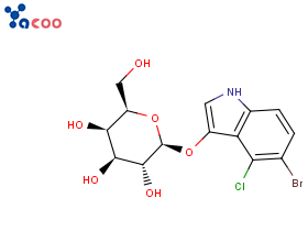 5-溴-4-氯-3-吲哚半乳糖苷（X-GAL）