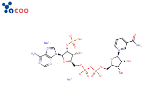 beta-烟酰胺腺嘌呤二核苷酸磷酸二钠盐 （NADP-2Na）