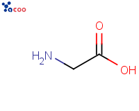 Glycine
