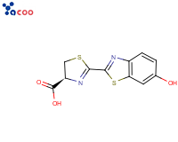 D-Luciferin
