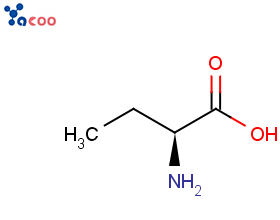 L-2-氨基丁酸
