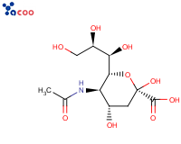 N-乙酰神经氨酸（NANA）
