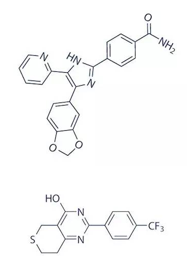 the molecular structure of SB431542 and XAV939