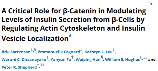 A Critical Role for β-Catenin in Modulating Levels of Insulin Secretion from β-Cells by Regulating Actin Cytoskeleton and Insulin Vesicle Localization