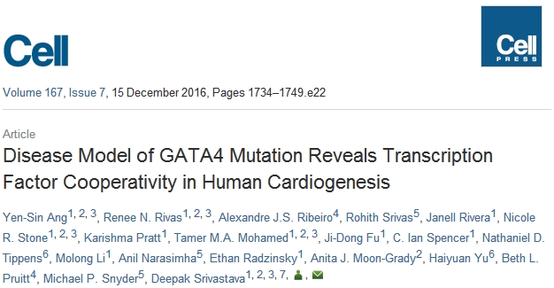 Disease Model of GATA4 Mutation Reveals Transcription Factor Cooperativity in Human Cardiogenesis