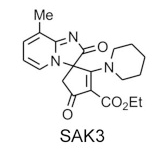 SAK3结构