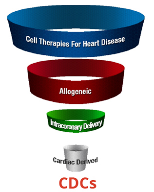 cardiospheres