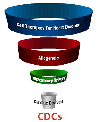 细胞疗法治疗心脏病