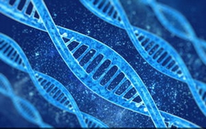 DNA