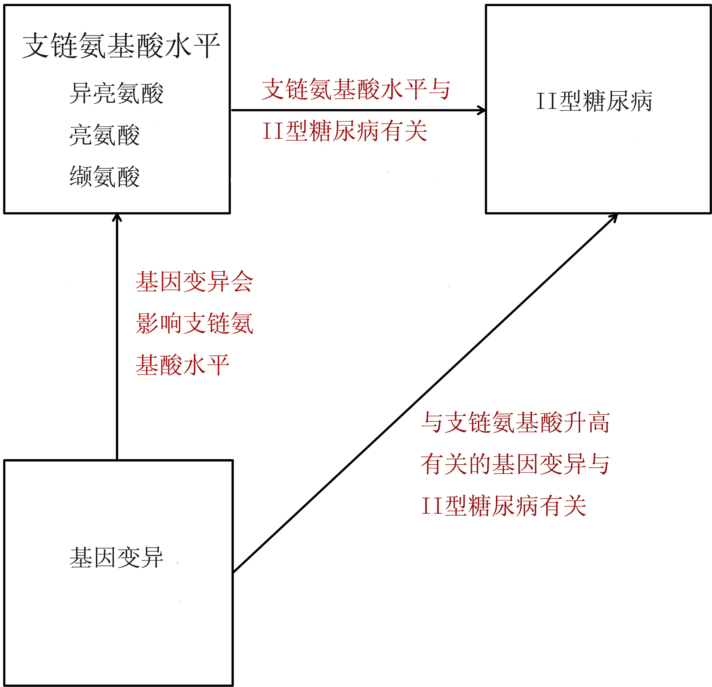 与糖尿病相关的因素